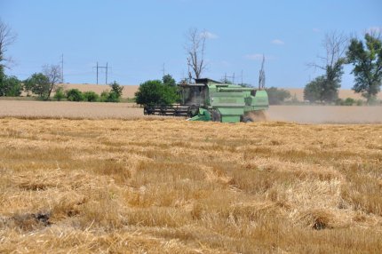 Уборочная кампания зерновых-2021 проходит в сложных погодных условиях